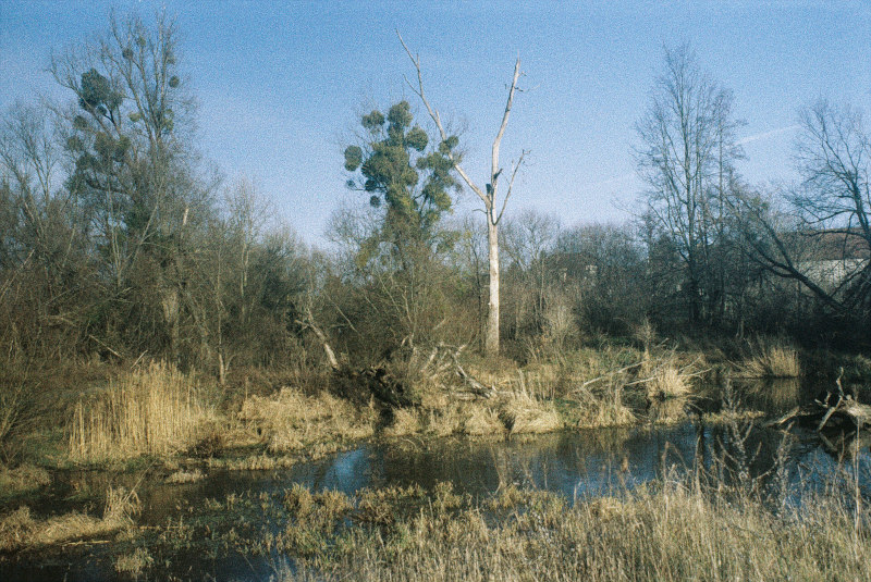 Narrative der Natur